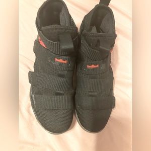 Red and Black ( Nike Zoom LeBron)